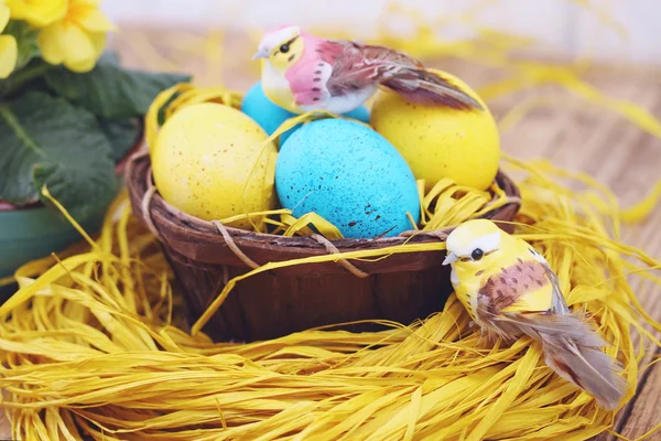 Eggs and birds, tinted — Stock Photo, Image