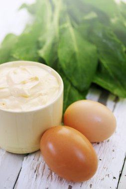 yumurta ve ekşi krema