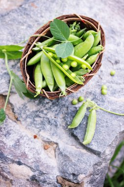 green peas on a stone , top view clipart