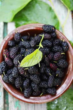 Sulu dut, üstten görünüm