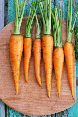 Sulu havuç, üstten görünüm