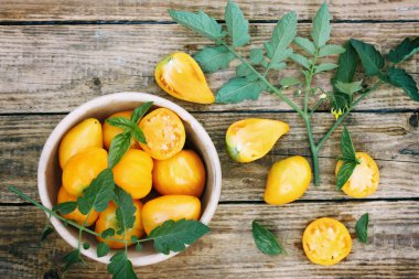 domates, üstten görünüm