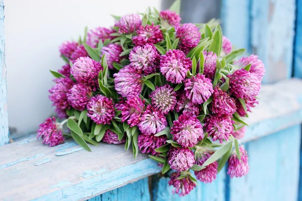 Bouquet di trifoglio selvatico — Foto Stock