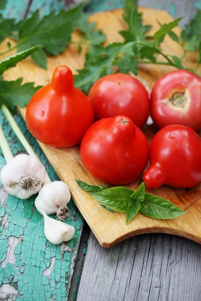 Pomidory z czosnkiem — Zdjęcie stockowe