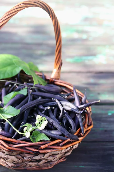 Blue beans — Stock Photo, Image