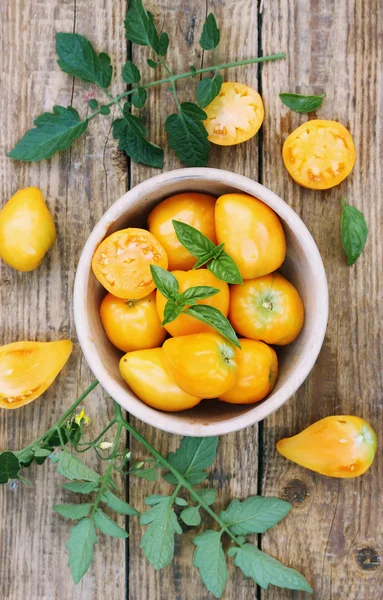 Yellow tomatoes, top view — Stock Photo, Image