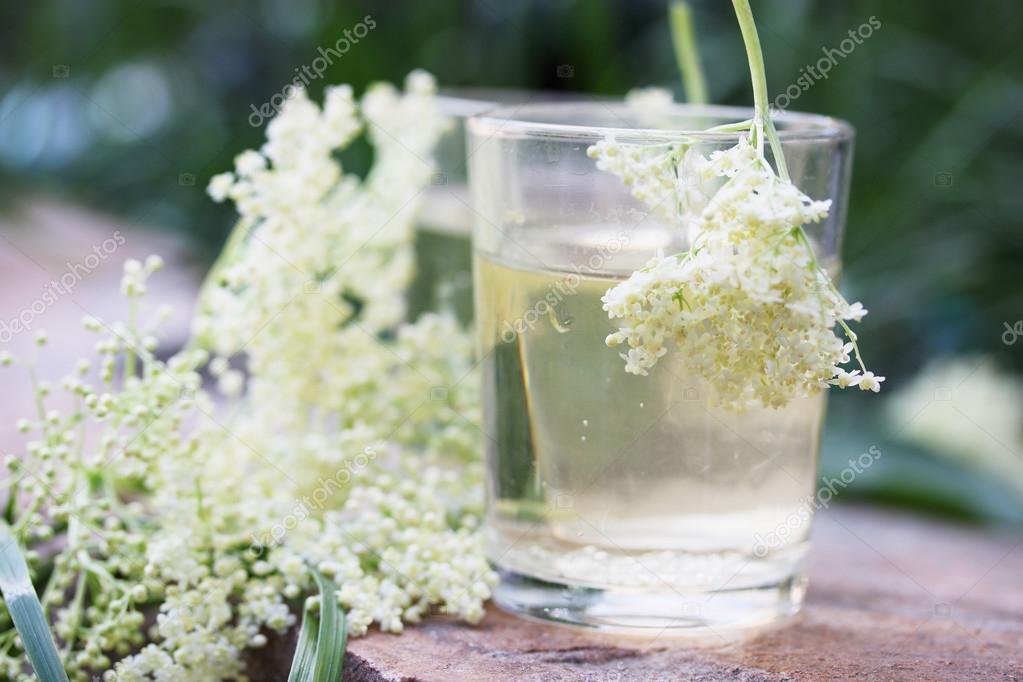 Elder brew with flowers Stock Photo by ©mallivan 79608422