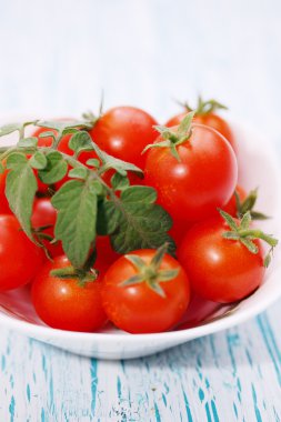 küçük cherry domates