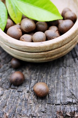 çay bitkisinin tohumları