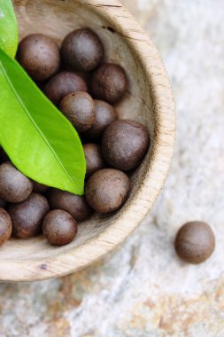 tohum çay bush, üstten görünüm