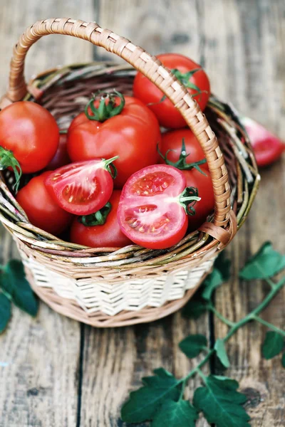Tomates suculentos — Fotografia de Stock