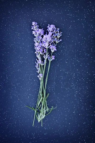 Ervas aromáticas frescas, lavanda — Fotografia de Stock