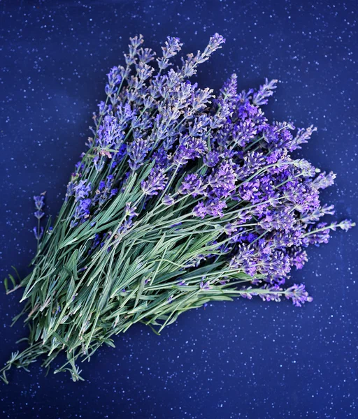 Bouquet di lavanda, vista dall'alto — Foto Stock