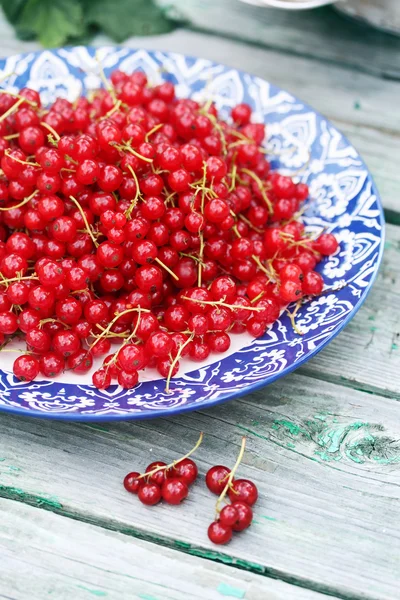 Red currants on plate with ornament — Stock Photo, Image