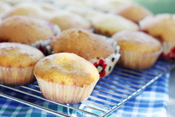 Muffins kühlen auf einem Gitter ab — Stockfoto