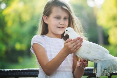 Yumuşak yaz ışığında açık havada beyaz bir güvercin tutan genç bir kız. Barışın sembolü, şefkat, çocukluk masumiyeti, duygusal bağlantı, doğa bakımı, eğitim ve hayvanlarla nazik etkileşim.