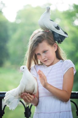Genç kız beyaz güvercine nazikçe dokunurken başka bir güvercin kafasının üstünde duruyor. Barış, güven, şefkat, çocukluk masumiyeti, doğayla uyum..