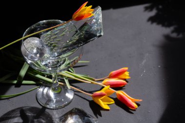 Botanik lalelerle ve güçlü yönlü ışıkta cam heykellerle öncü bir yaşam sürüyor. Geometri ve gerilimi araştıran çağdaş bileşim.