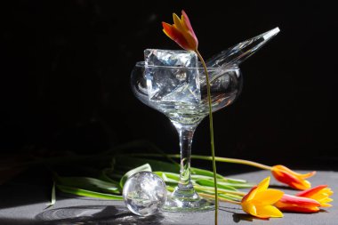 Yüzleşen kristal formlar ve lale koyu arkaplana karşı güçlü bir ışık altında dizilmiş. Çağdaş natürmort geometri, parlaklık ve heykel berraklığı üzerine odaklanmıştır..