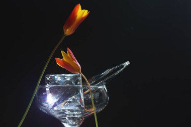 Laleler ve kristal bileşimi ince mercek alevleriyle çarpıcı ışıkla aydınlatılıyor. Atmosferik natürmort, duygu, derinlik ve sinematik karşıtlığa odaklı.