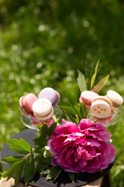 Canlı pembe şakayık ve sıcak doğal bahçe ışıklarıyla dolu cam bardaklarda renkli badem kurabiyeleri. Fotokopi alanı olan zarif bir tatlı kompozisyonu..