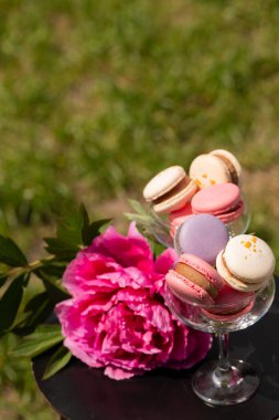 Yumuşak yeşil arka planda çiçek açan şakayıklı cam tatlı coupe pastel badem kurabiyeleri ve yukarıda cömert kopya alanı.