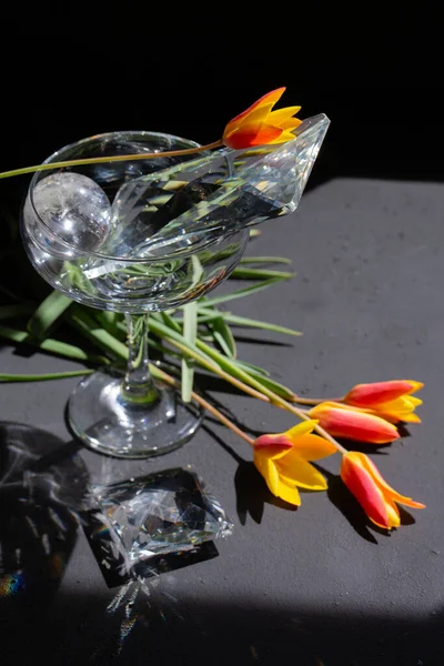 Botanik lalelerle ve güçlü yönlü ışıkta cam heykellerle öncü bir yaşam sürüyor. Geometri ve gerilimi araştıran çağdaş bileşim.