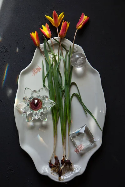 Narin botanik laleleri seramik tabakta dizilmiş ampuller ve dramatik güneş ışığı altında kristal prizmalar. Sanatsal bahar, ışık yansımalarıyla hayat dolu.