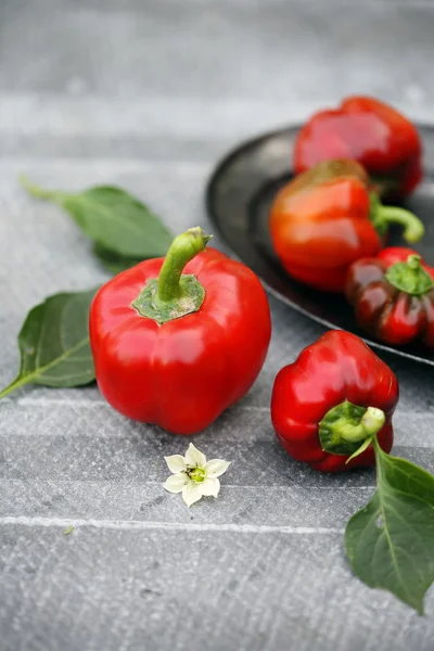 Crop of red pepper — Stock Photo, Image