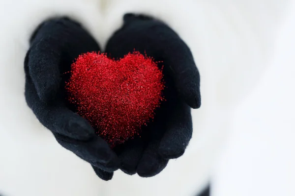 Coeur rouge dans les mains — Photo