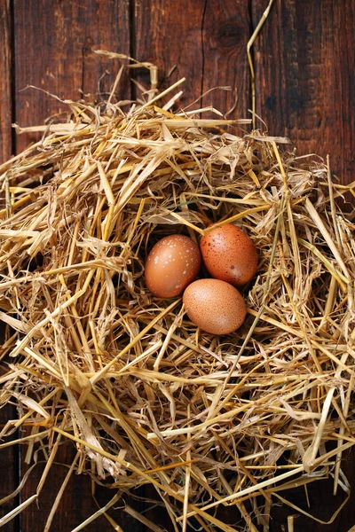 Chicken eggs in nest, top view — Stock Photo, Image