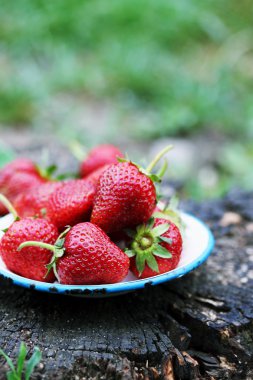 Bahçedeki çilekler