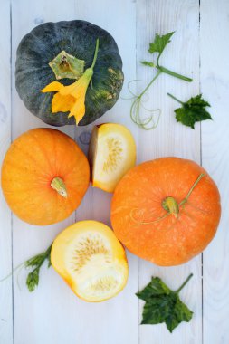 Beyaz bir tabloda küçük kabak