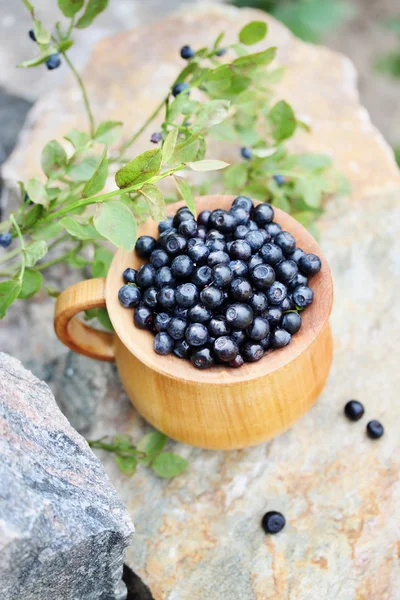 在一个木碗森林蓝莓 — 图库照片