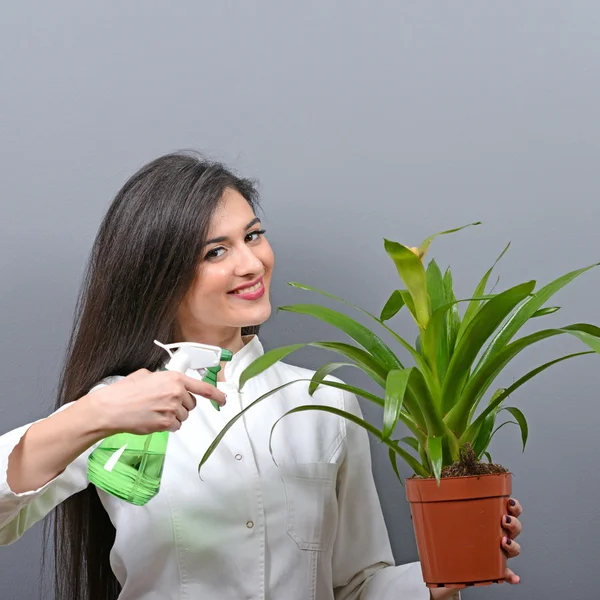 Retrato de mujer joven planta de riego botánico contra bac gris —  Fotos de Stock