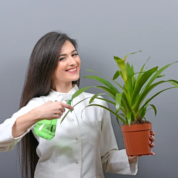 Retrato de mujer joven planta de riego botánico contra bac gris —  Fotos de Stock