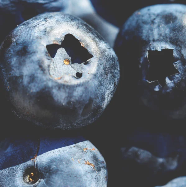 Fresh blueberries macro — Stock Photo, Image