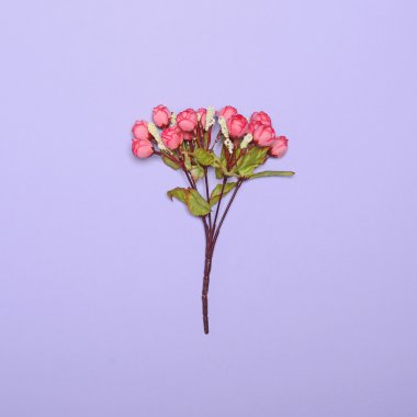 Çiçekler parlak mor arka planda - Minimal kavramı karşı