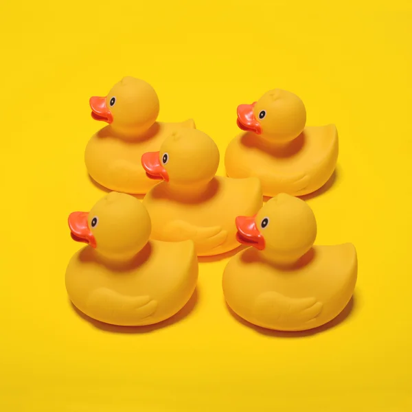 Canards en caoutchouc jaune sur fond jaune - Design minimal — Photo