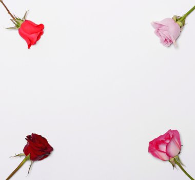 Dört köşe ve boş yer içinde senin te için orta içinde dört adet gül