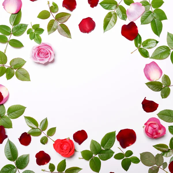 Επίπεδη lay - Κάσια από όμορφα, ολόφρεσκα τριαντάφυλλα πέταλα και τα φύλλα — Φωτογραφία Αρχείου