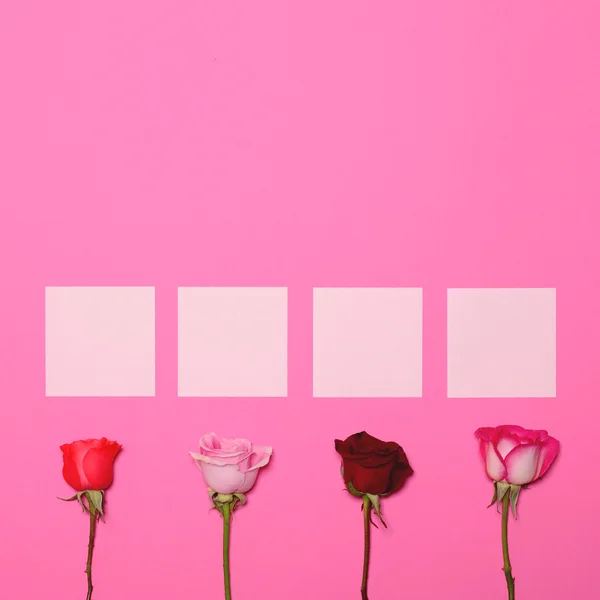 Quattro rose su sfondo rosa pastello con carte bianche sopra - T — Foto Stock