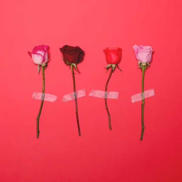 Quattro rose nastrate su sfondo rosso - Concetto di laica piatta minima — Foto Stock