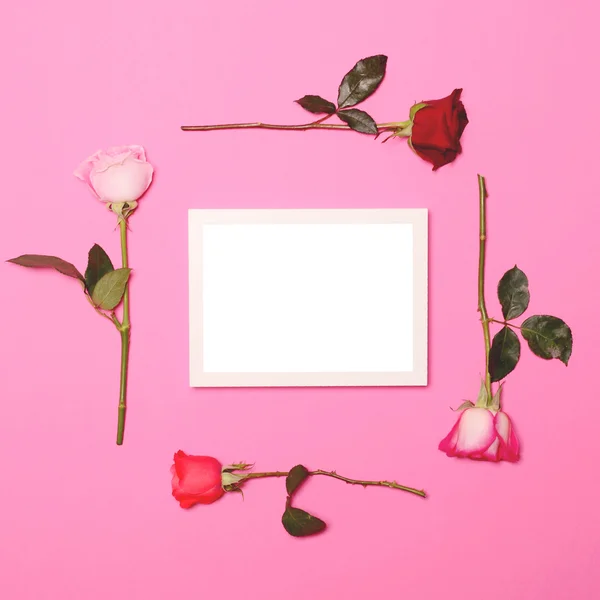 Marco de rosas frescas de colores sobre fondo rosa pastel con emp — Foto de Stock