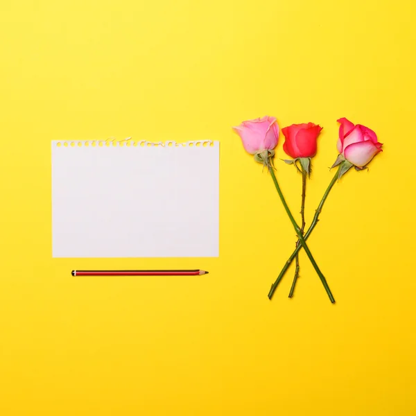 Roses and empty piece of paper with pencil on yellow background — Stock Photo, Image