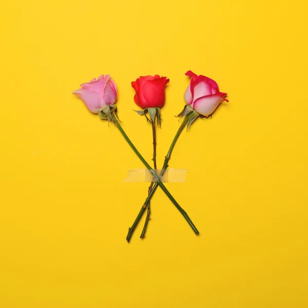 Tre rose nastrate su sfondo giallo - Minimal flat lay concep — Foto Stock