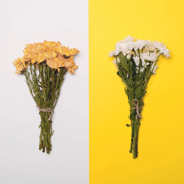 Mazzi di fiori estivi gialli e bianchi su retro giallo e bianco — Foto Stock