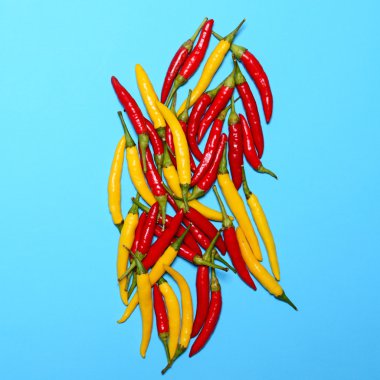 Düz kırmızı sıcak biber mavi arka plan üzerinde-yatıyordu