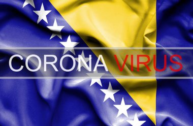 Bosna ve Hezegovina 'da Coronavirüs kavramsal imaj