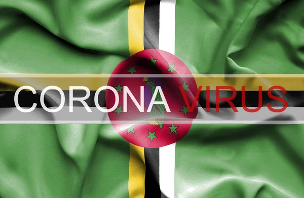 Coronavirus Dominica Imagen Conceptual Imagen de archivo